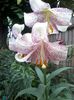 20140615_112630