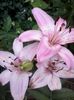 20140615_112637