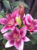 20140615_112756