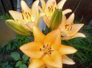 20140615_112809