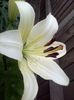 20140615_113200