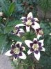 20140615_113207