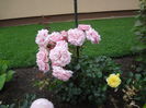 DSC00474