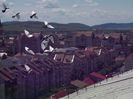 INAMIC RETRAS IN GRABA...
