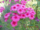 DSCN3114