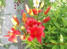 DSCN3117