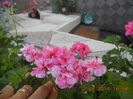 DSCN3122