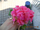 DSCN3120