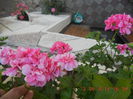 DSCN3121