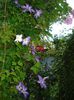 DSC01849