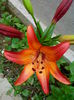 IMG_20140615_160543