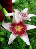 IMG_20140615_161055