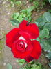 IMG_20140615_160834