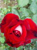 IMG_20140615_160840