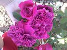2014-06-05 18.13.42