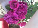 2014-06-05 18.13.48
