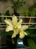 20140615_190535