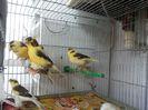 20140615_142057