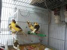 20140615_142053