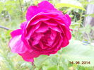 DSCN5463