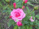 DSCN5480