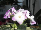 DSCN5440