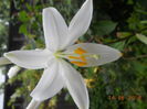 DSCN5459