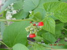 DSCN5476