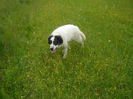 SANY0043