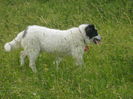 SANY0057