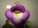 DSC09547
