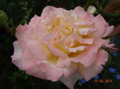 DSC04930
