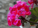 DSC05139