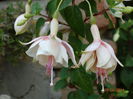 DSC05042
