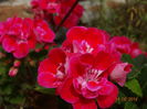 DSC04909