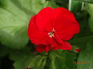 DSC04904