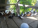 DSCN0028
