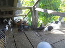 DSCN0029