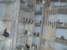 DSCN0093