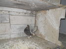 DSCN0095