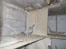 DSCN0096