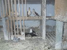 DSCN0102