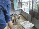DSCN0114