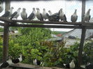 DSCN0117