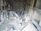 DSCN0121