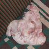 DSCF4203