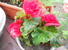 DSCN3128