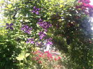Photo3001