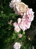 Photo3025