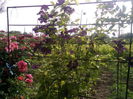 Photo3029
